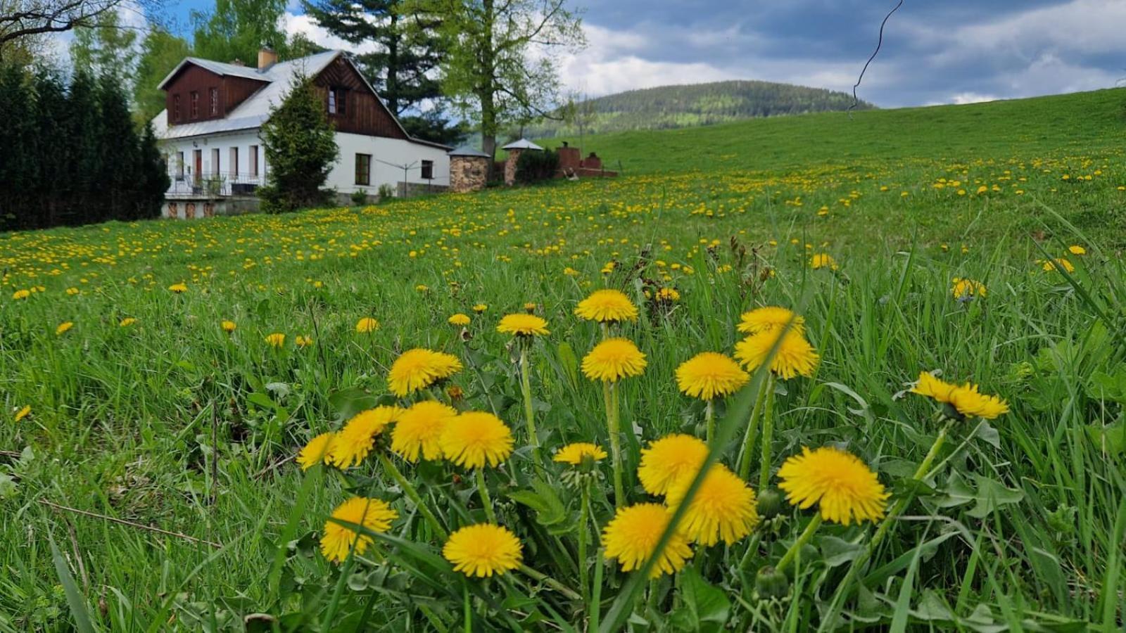 Kněžice 25, chalupa v Krkonoších Vrchlabí Exterior foto
